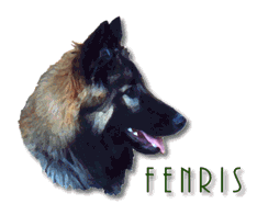 FENRIS TERVUREN
