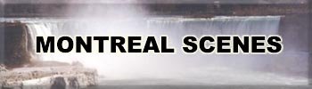 Click HERE to enter Montreal Scenes