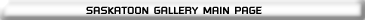 Saskatoon Gallery (BAR)