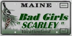 Maine Bad Girls License Plate
