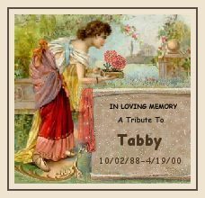 Memorial Tribute To Tabby
