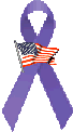 Support Our Troops Purple Ribbon Campaign