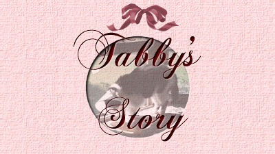 Tabby's Story