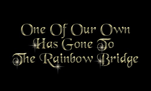 One Of Our Own Has Gone To The Rainbow Bridge