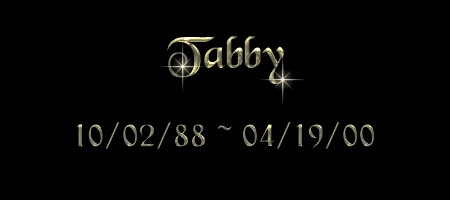 Tabby 10/02/99 ~ 04/19/00