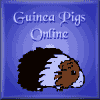 Guinea Pigs Online