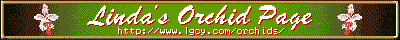 The Orchid Lady