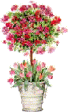 FLOWER TOPIARY PLANT