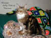 Sally  -  Photo taken in March 2002