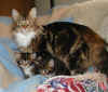 Sally with girl kittens photo taken Febuary 2002