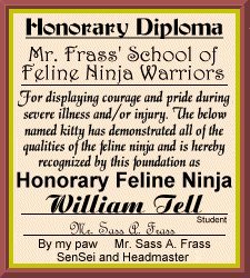 diplomahonorarywilliam.jpg (27157 bytes)