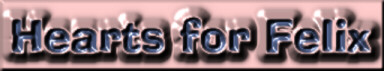 felixsm.jpg (14824 bytes)