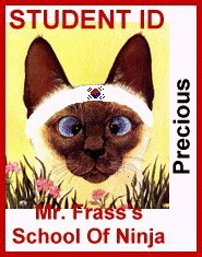 preciousidcard.gif (35454 bytes)