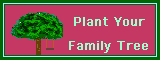 family tree