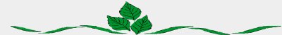 Leaf Divider