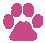 paw