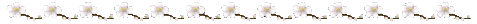 flowerlinetrans