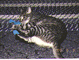 hunter2