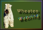 weblogo1.jpg (10974 bytes)