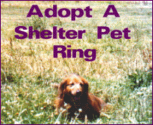 Click here to 
join the Adopt A Shelter Pet Ring