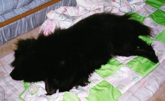 Daysha asleep