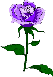 purplerose