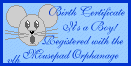 boy's birth certificate