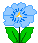 blue flower