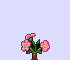 Popping Impatiens