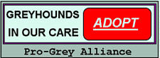 pro-grey