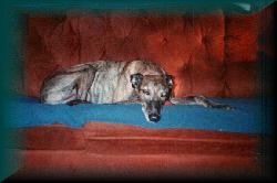 susy