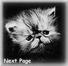Next Page