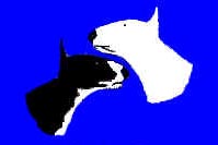The Bull Terrier Ring (4824 bytes)