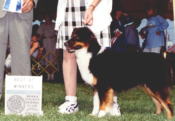 Sophie