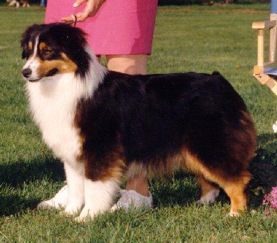 TASHA