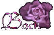 back flower to more sharings