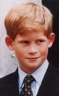 harry.jpg (15051 bytes)
