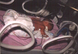 Hailey @ 1 day old