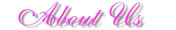 About us Banner