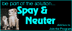 Support Spay & Neuter click here