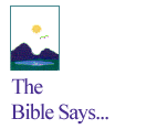 The Bible says - 3.1 K