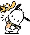 pochacco2.gif 4K