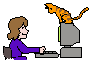 cat computer