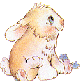 Bunny 2 Left