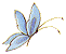 Butterfly 2 Left