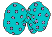pmbow3.gif - 5512 Bytes