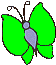 pmbutrfly5.gif - 2929 Bytes