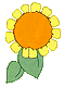 pmflowr13.gif - 2924 Bytes
