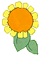 pmflowr17.gif - 2924 Bytes