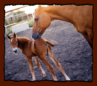 Poco 5 days old